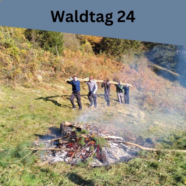 Hau ruck!

Wie jedes Jahr galt es auch heuer nach dem letzten Saisonspiel für unsere Aktiven, Senioren und weitere Helfer noch einmal Vollgas zu geben - der Waldtag stand an! Bei gewohnt geselliger Atmosphäre haben wir der Natur etwas gutes getan - wobei auch mal ein kurzes Nickerchen drin lag.

Nun verabschieden wir uns in den "Winterschlaf" und wünschen allen eine schöne Adventszeit - die nächste Saison ist bereits im Anmarsch!